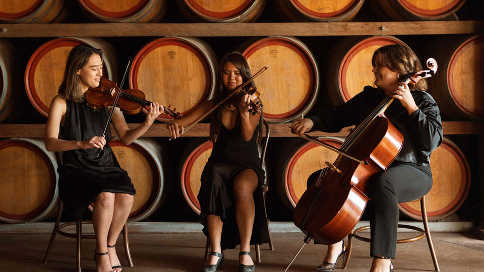 Perfect - Ed Sheeran (String Trio)